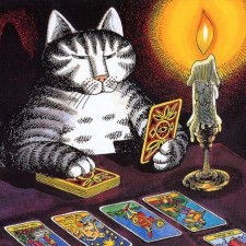 chat cartes tarot